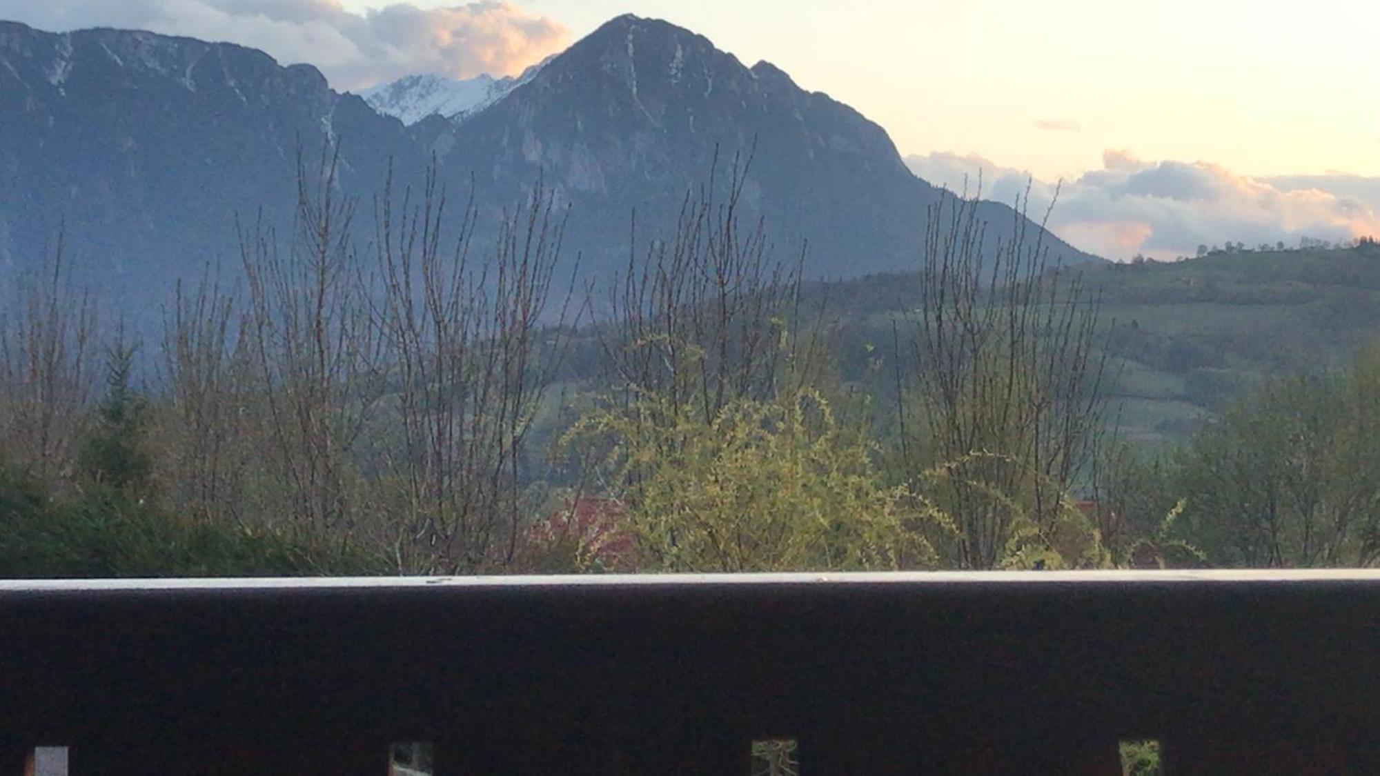 Pension Chalet Poiana Marului Ranch Luaran gambar