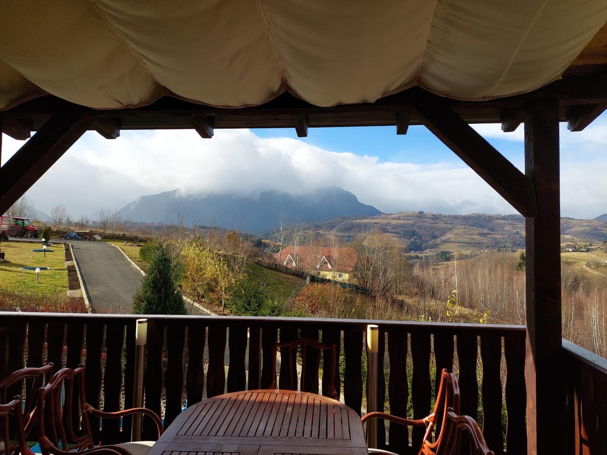 Pension Chalet Poiana Marului Ranch Luaran gambar