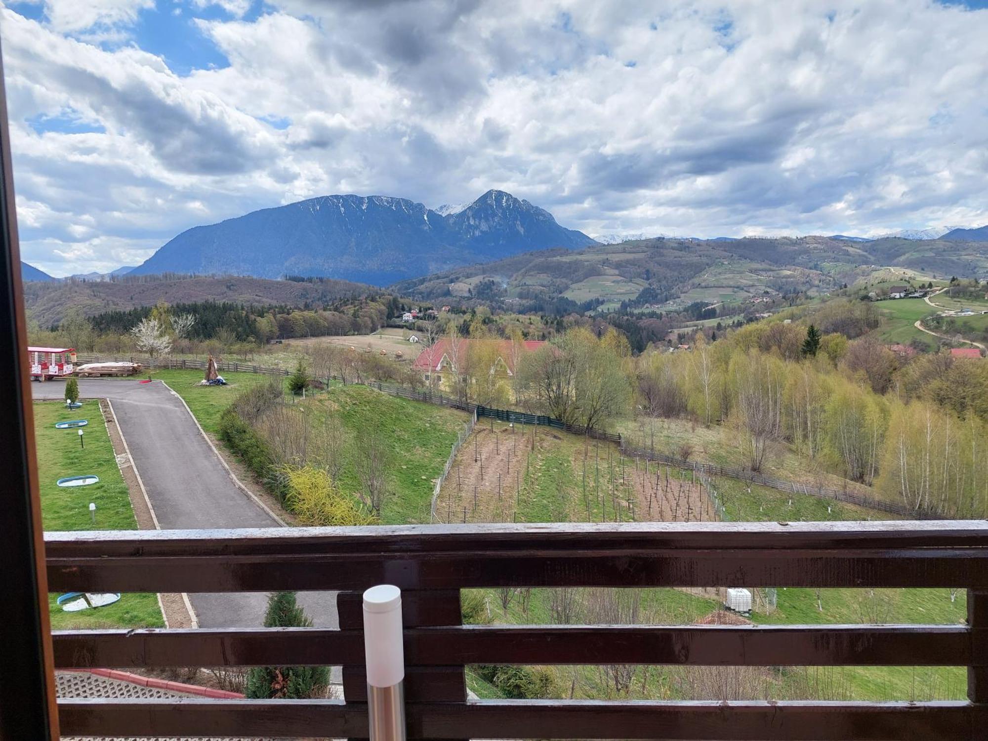 Pension Chalet Poiana Marului Ranch Luaran gambar